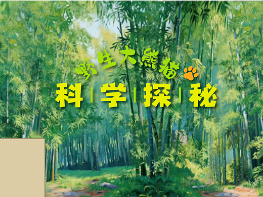 自然科普馆（大熊猫馆）局部平面设计