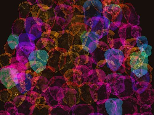 我想象中的世界圣诞树