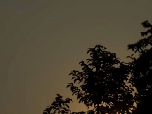 艺考机构播音生集训纪实更新版