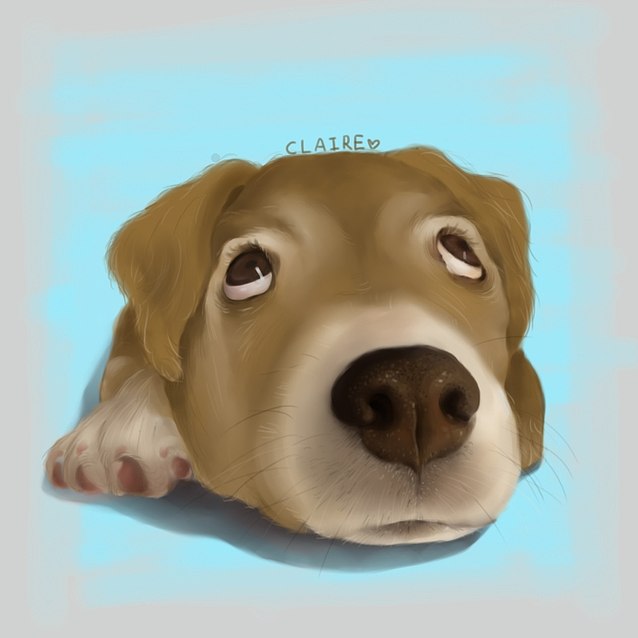 绘画 | 手绘/板绘/CG（图ZNDAwNTgzNzI4） - 创作习作 - 站酷设计师黑猫仔原创素材 - 站酷ZCOOL