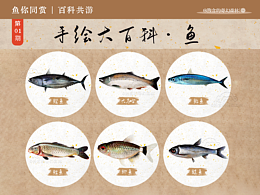 手繪科普系列 · 第一期 | 六魚檔案解密