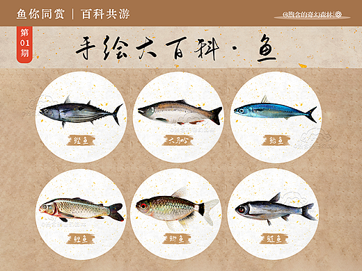 手绘科普系列 · 第一期 | 六鱼档案解密