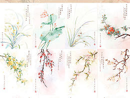 十二花神系列插畫(huà)