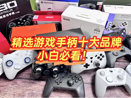 新手有什么Switch手柄推荐？2026年十大NS游戏手柄推荐（入坑玩家必看）