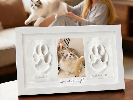 宠物手足印泥相框