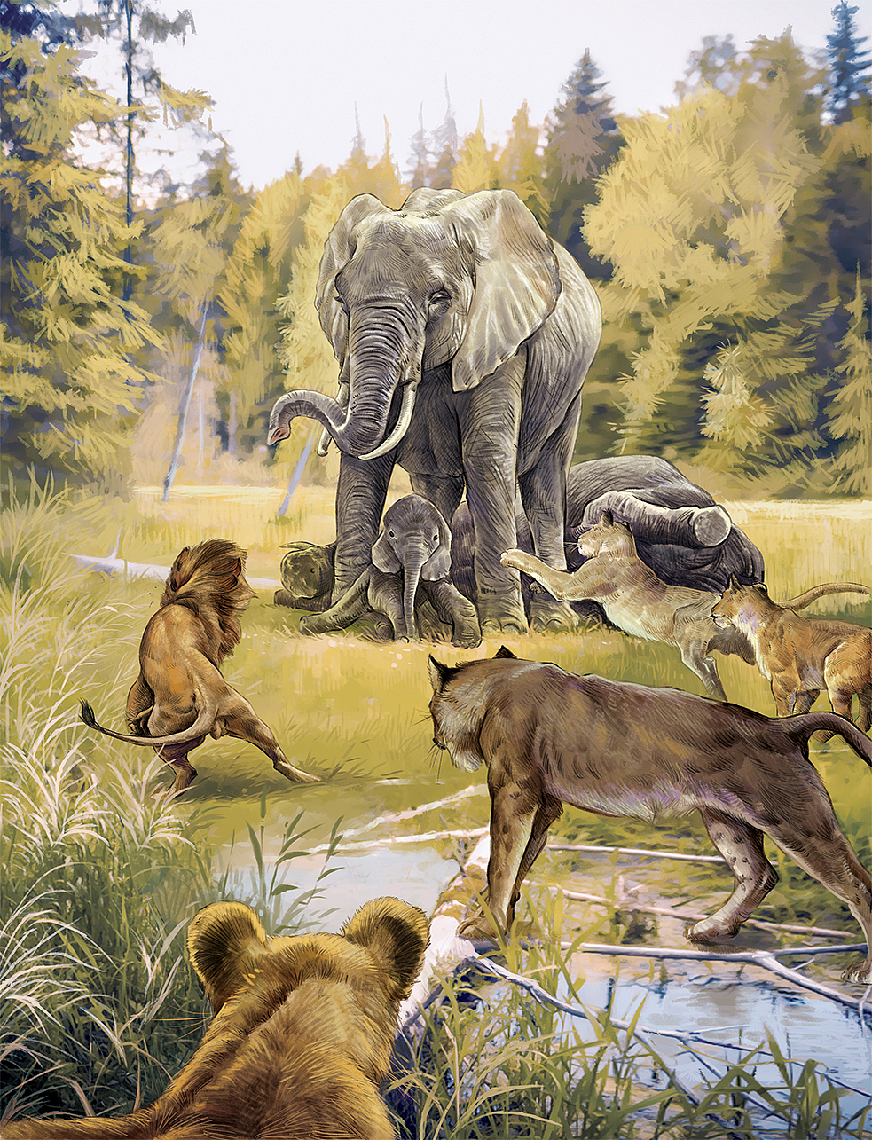 写实纯手绘绘本插画，已出版，禁商用！！！（图ZNDAwNjQ2OTM2） - 绘本 - 站酷设计师小树文创原创素材 - 站酷ZCOOL