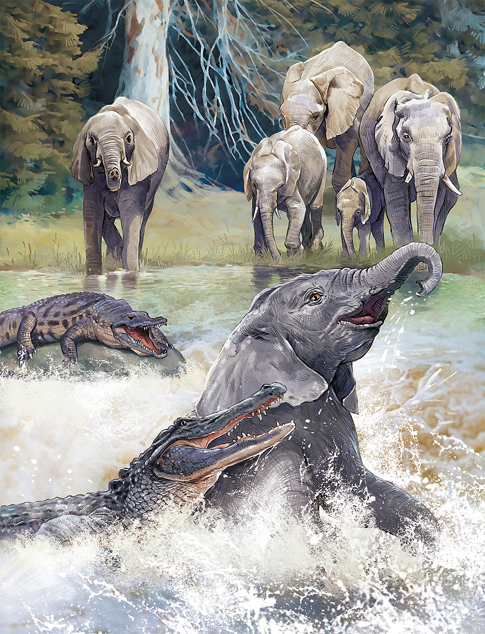 写实纯手绘绘本插画，已出版，禁商用！！！（图ZNDAwNjQ2OTQw） - 绘本 - 站酷设计师小树文创原创素材 - 站酷ZCOOL