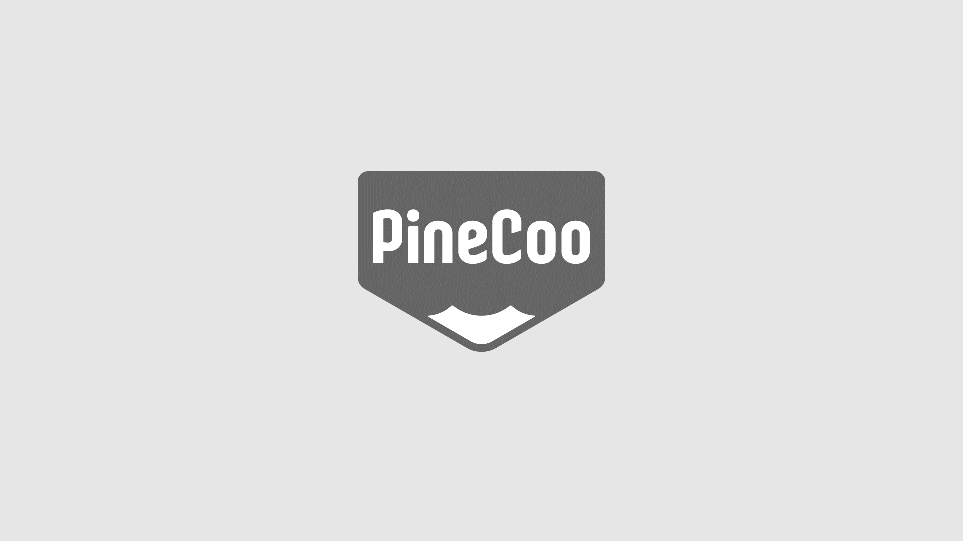 PineCoo小松树®️ 品牌全案设计|美域盛华(图ZNDAwNjUxNTAw) - 品牌 - 站酷设计师美域盛华原创素材 - 站酷ZCOOL