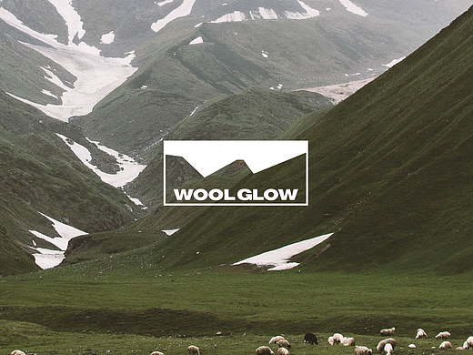 WOOLGROW_户外面料品牌全案设计