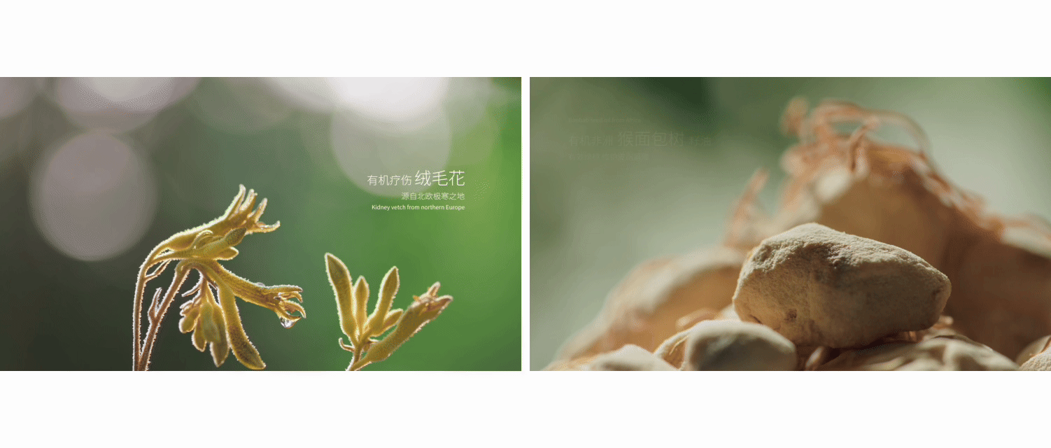天露芬全品系列TVC全案视觉策划落地执行✖️加号导(图ZNDAwNjYyODg4) - 产品摄影 - 站酷设计师加号视觉供应商原创素材 - 站酷ZCOOL