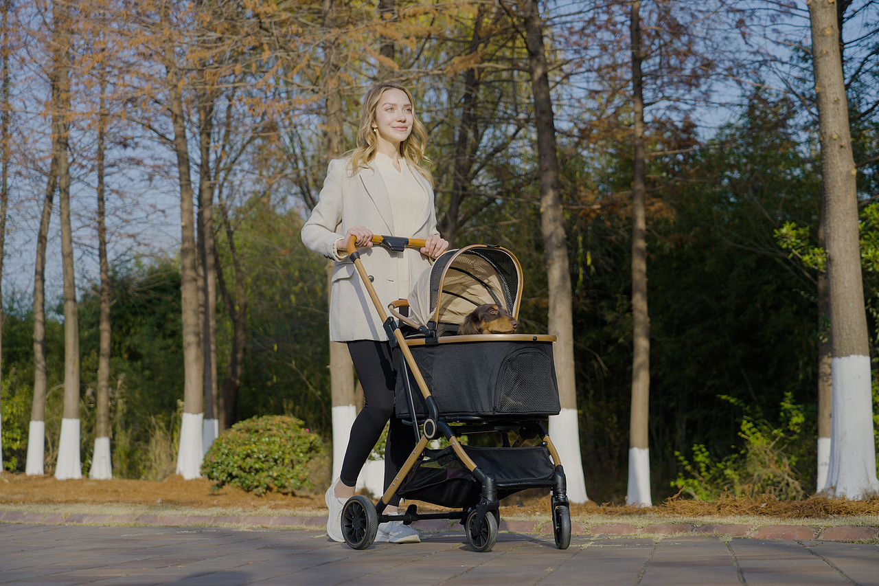 跨境电商狗窝垫子拍摄主图视频详情设计亚马逊电商摄影（图ZNDAwNjY0OTY0） - 产品摄影 - 站酷设计师零晨视觉摄影原创素材 - 站酷ZCOOL