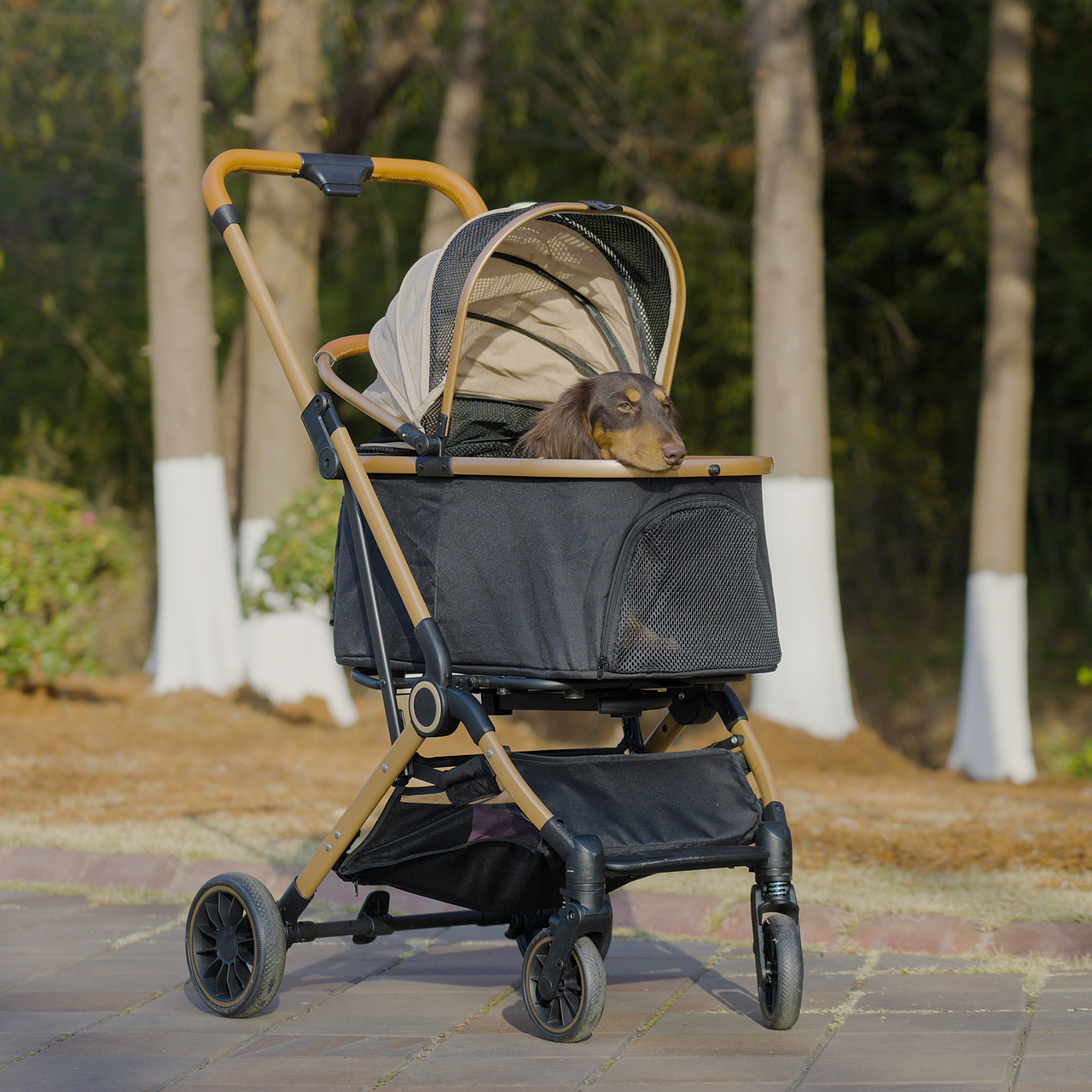 跨境电商狗窝垫子拍摄主图视频详情设计亚马逊电商摄影（图ZNDAwNjY0OTYw） - 产品摄影 - 站酷设计师零晨视觉摄影原创素材 - 站酷ZCOOL