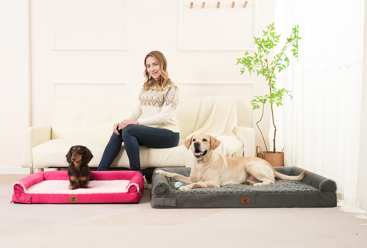 跨境电商狗窝垫子拍摄主图视频详情设计亚马逊电商摄影（图ZNDAwNjY0OTgw） - 产品摄影 - 站酷设计师零晨视觉摄影原创素材 - 站酷ZCOOL