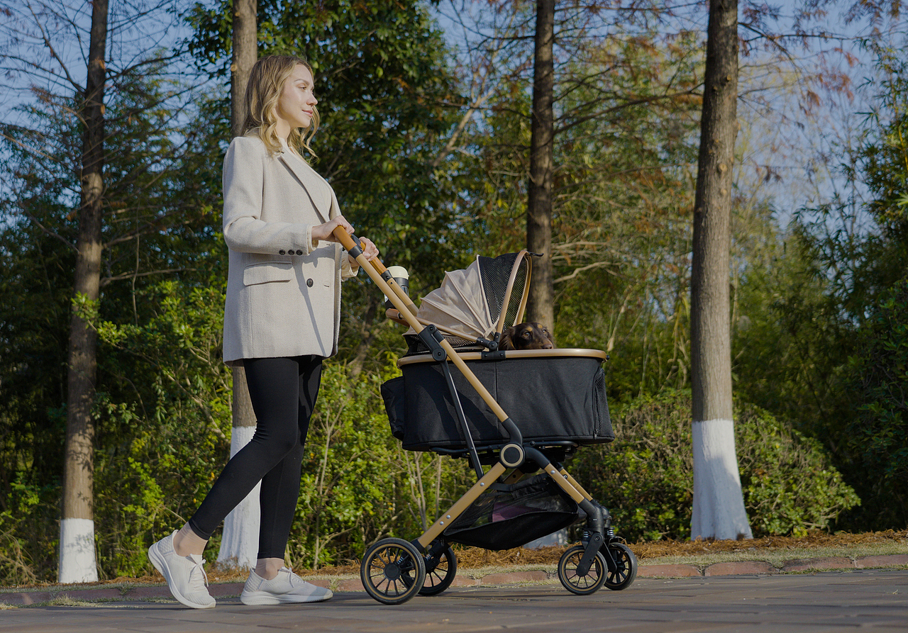 跨境电商狗窝垫子拍摄主图视频详情设计亚马逊电商摄影（图ZNDAwNjY0OTY4） - 产品摄影 - 站酷设计师零晨视觉摄影原创素材 - 站酷ZCOOL