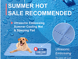 宠物产品展示排版