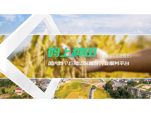 数字农业丨“码上种田”宣传视频