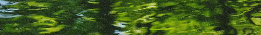 CChillzz的个人主页（封面预览） - 主页封面设置 - 站酷设计师CChillzz原创素材 - 站酷ZCOOL