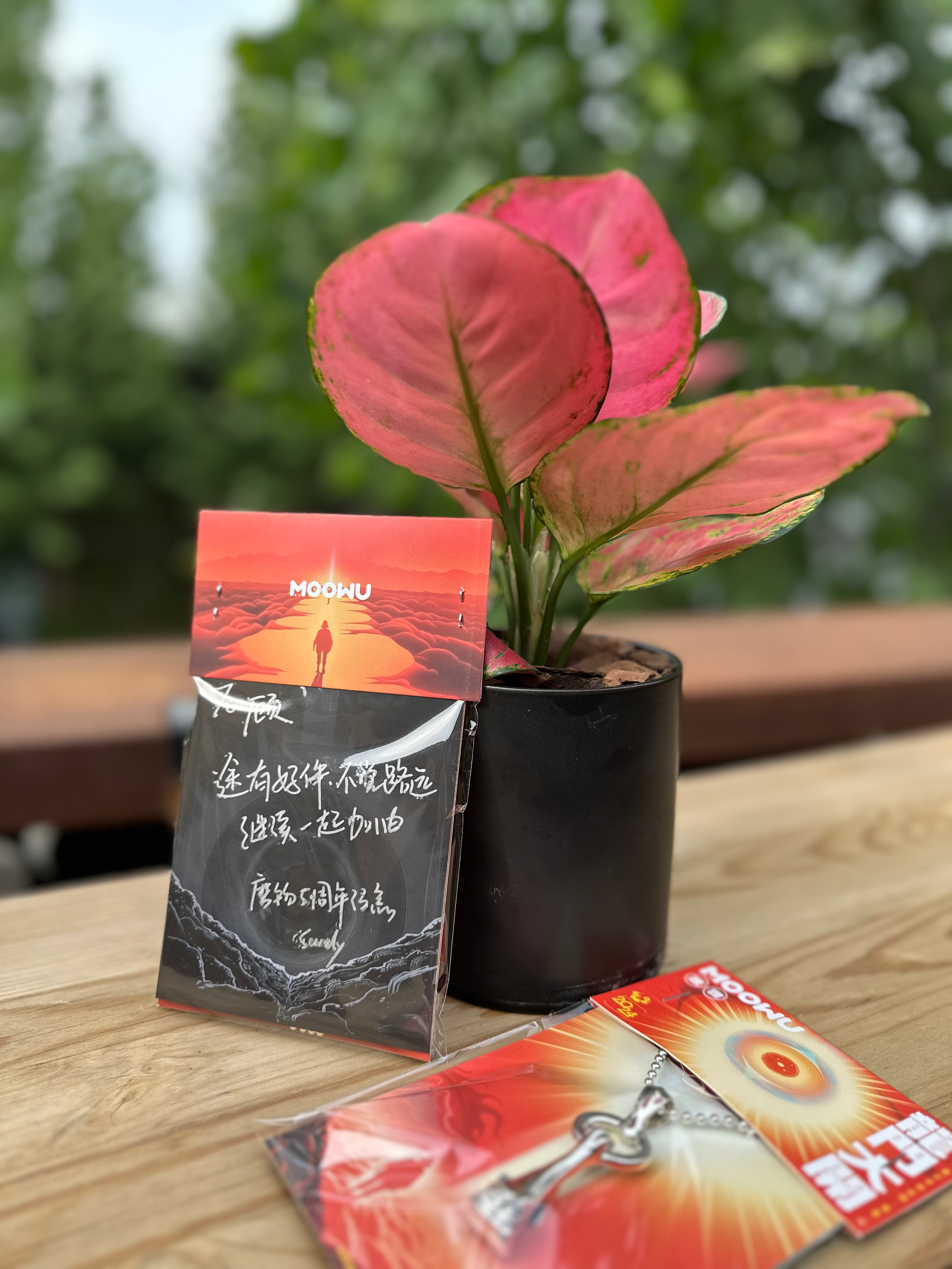 磨物的“不务正业”，秋季限定帽衫上线（图ZMTUzNTQyMTI=） - 资讯 - 站酷设计师MOOWU原创素材 - 站酷ZCOOL