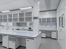 標(biāo)準(zhǔn)實(shí)驗(yàn)室《設(shè)計(jì)思路介紹BIM漫游》