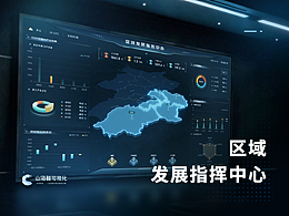 可视化