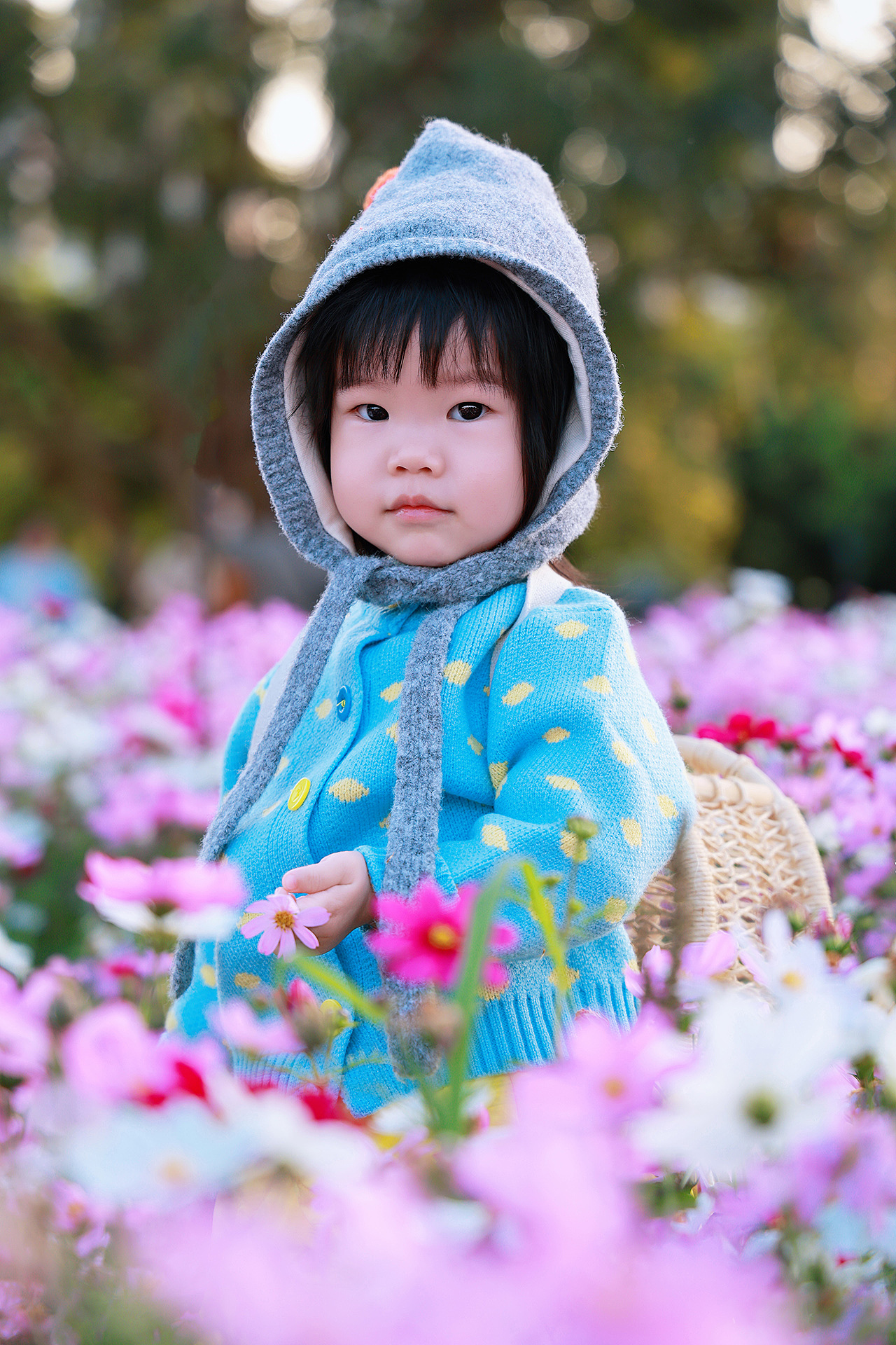 🌸萌萌哒的小圆子宝宝与格桑花海🌼（图ZNDAwNzc3MjAw） - 人像摄影 - 站酷设计师摄影师杨涛原创素材 - 站酷ZCOOL
