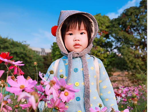 🌸萌萌哒的小圆子宝宝与格桑花海🌼