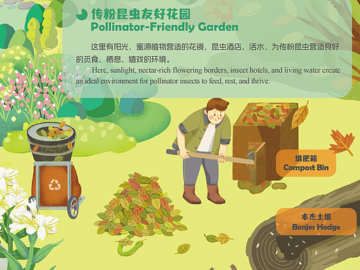 深圳湾公园共栖花园展板、标示牌插画（个人主页-ZNzI5NzQ4ODA=） - 商业插画 - 站酷设计师MAYLOVE_原创素材 - 站酷ZCOOL