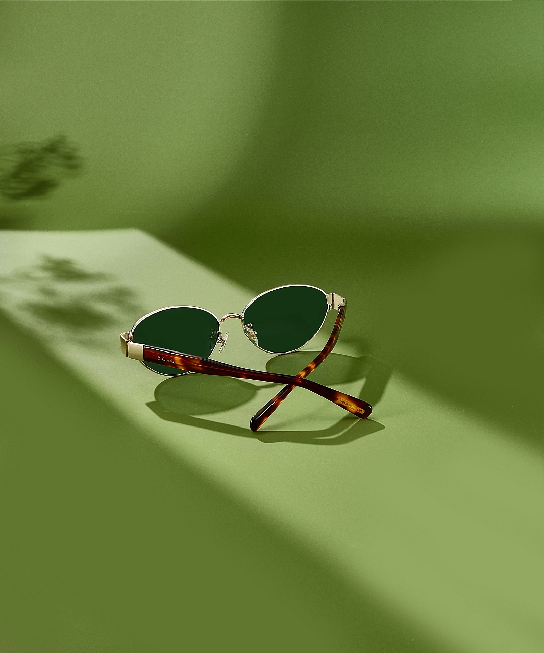 老钱风来了～（图ZNDAwODA1MDk2） - 产品摄影 - 站酷设计师Z473140046原创素材 - 站酷ZCOOL