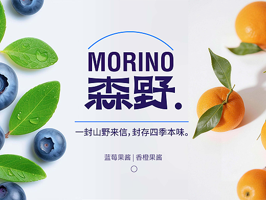 森野香橙/蓝莓包装设计【逐浪派对】