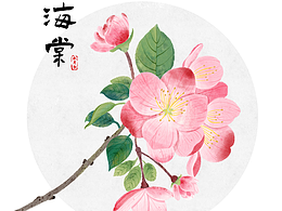 花朵插画