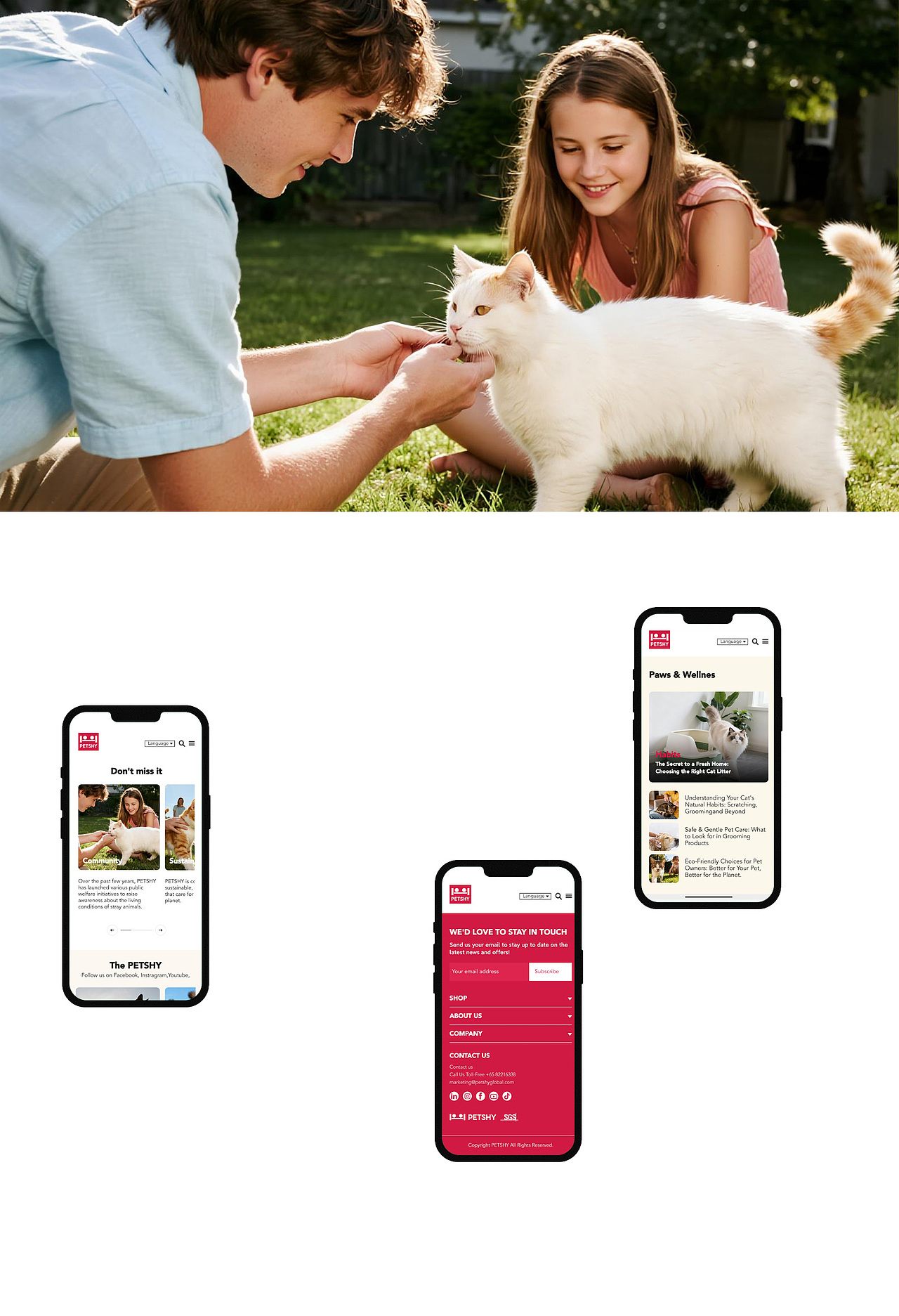 PETSHY 宠物猫砂独立站设计(图ZNDAwODQwNjIw) - 企业官网 - 站酷设计师古月Design原创素材 - 站酷ZCOOL