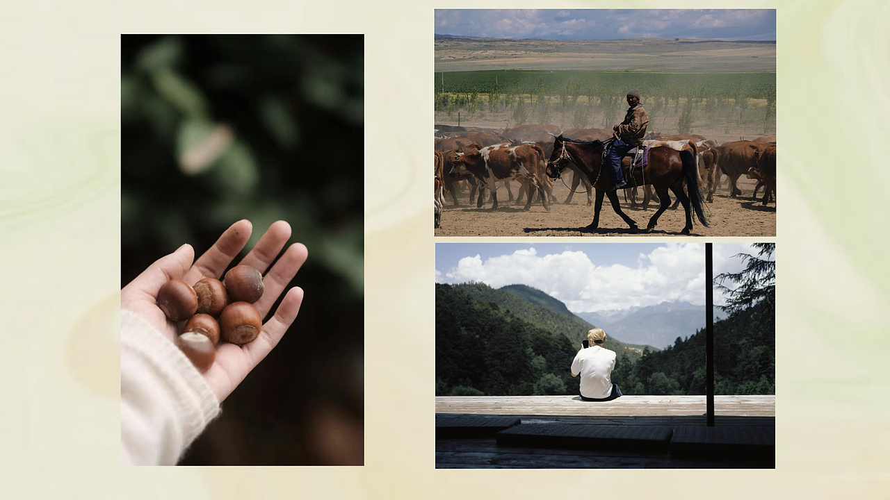 作品集（图ZNDAwODY0MDAw） - 文案/策划 - 站酷设计师CChillzz原创素材 - 站酷ZCOOL