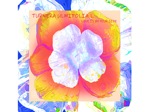 #花語手記##創(chuàng)意小海報設(shè)計#時鐘花花語