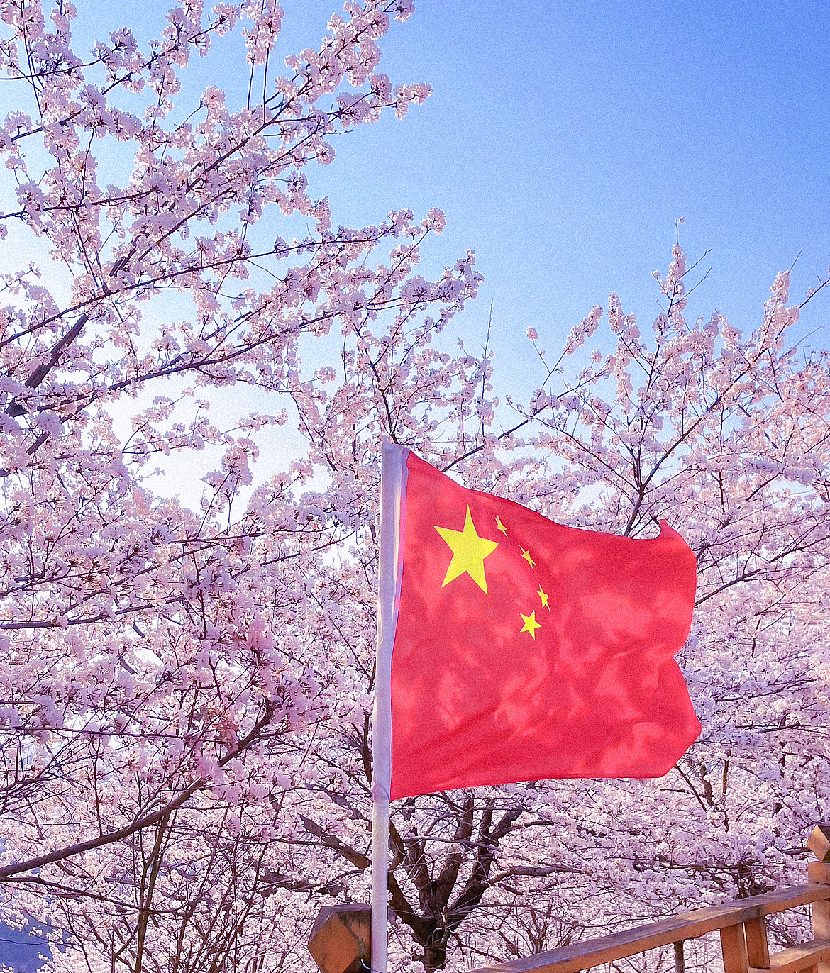 随拍，2025年“飞云集”手机摄影作品展示（图ZNDAwODc1ODEy） - 人文/纪实摄影 - 站酷设计师城南旧事yfy原创素材 - 站酷ZCOOL