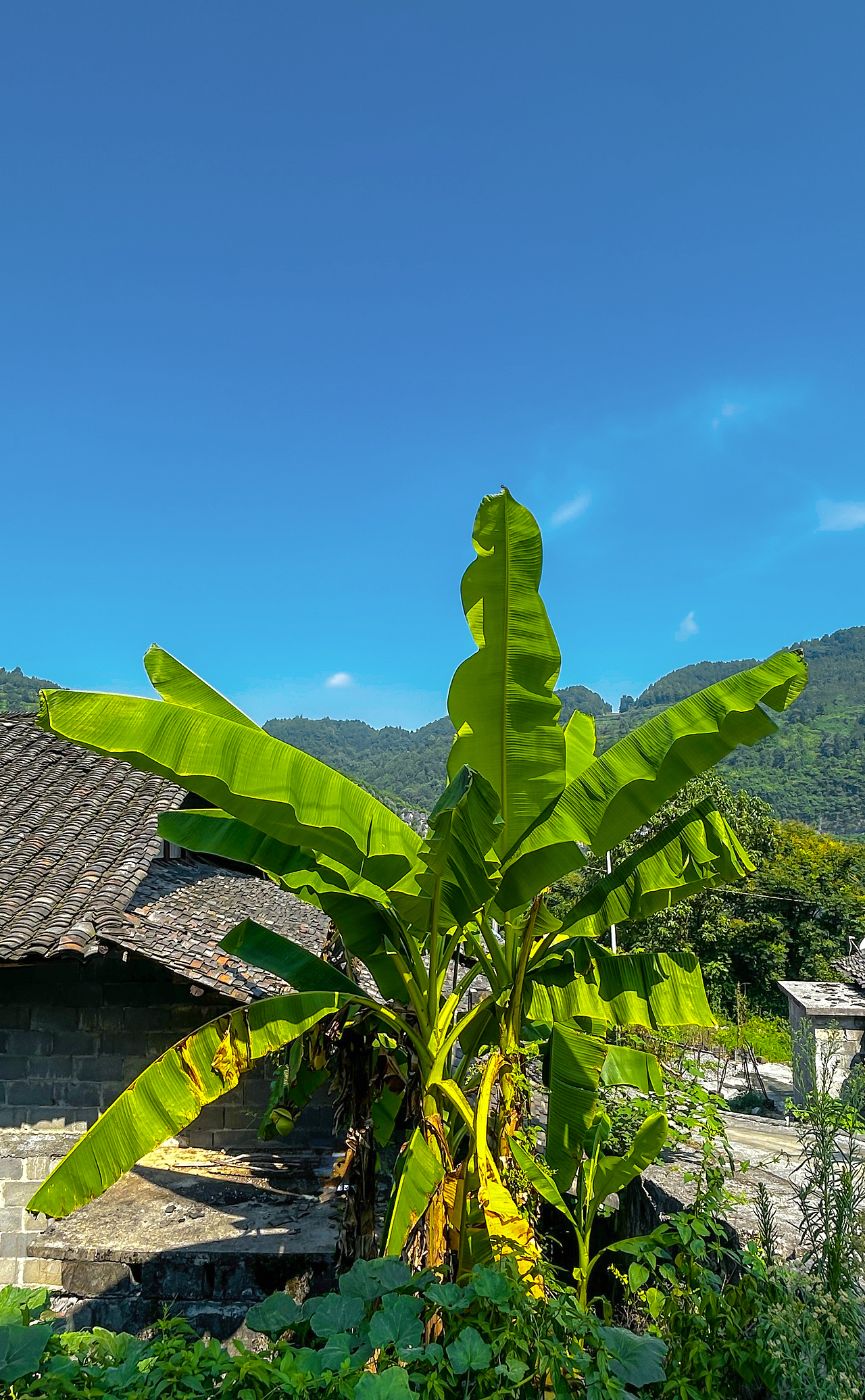 随拍，2025年“飞云集”手机摄影作品展示（图ZNDAwODc1OTA0） - 人文/纪实摄影 - 站酷设计师城南旧事yfy原创素材 - 站酷ZCOOL