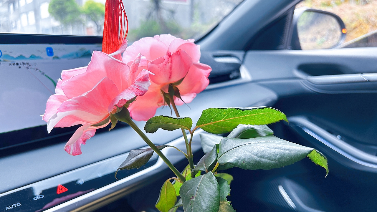 随拍，2025年“飞云集”手机摄影作品展示（图ZNDAwODc1ODky） - 人文/纪实摄影 - 站酷设计师城南旧事yfy原创素材 - 站酷ZCOOL