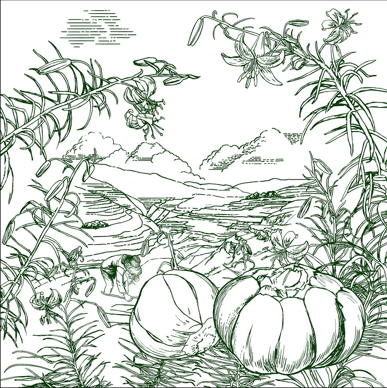 兰州百合包装插画（图ZNDAwODk1Mjg0） - 商业插画 - 站酷设计师銀奇美術原创素材 - 站酷ZCOOL