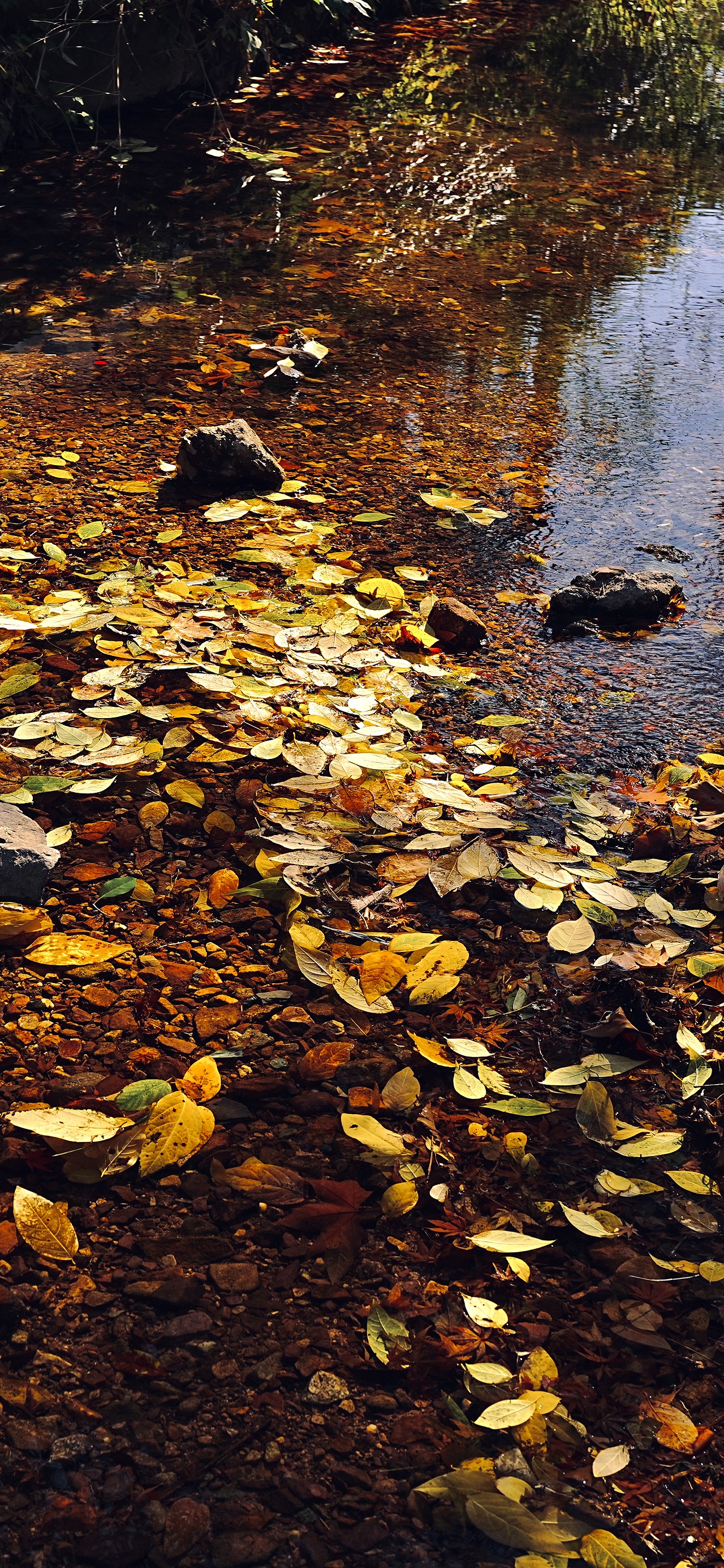 城中有座山（图ZNDAwODk2MzYw） - 环境/建筑摄影 - 站酷设计师活着就是意义原创素材 - 站酷ZCOOL