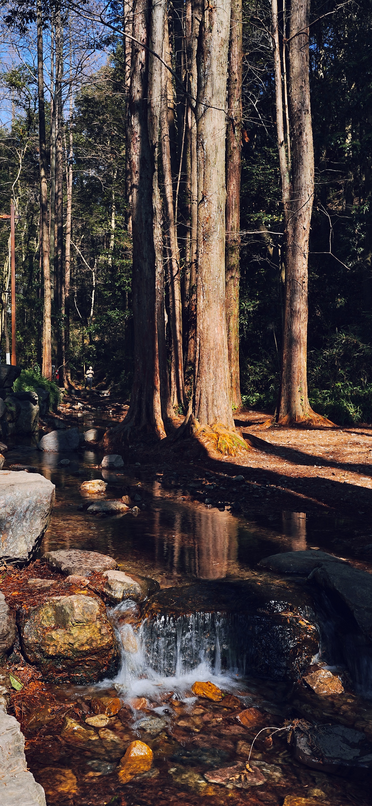 城中有座山（图ZNDAwODk2MzY0） - 环境/建筑摄影 - 站酷设计师活着就是意义原创素材 - 站酷ZCOOL