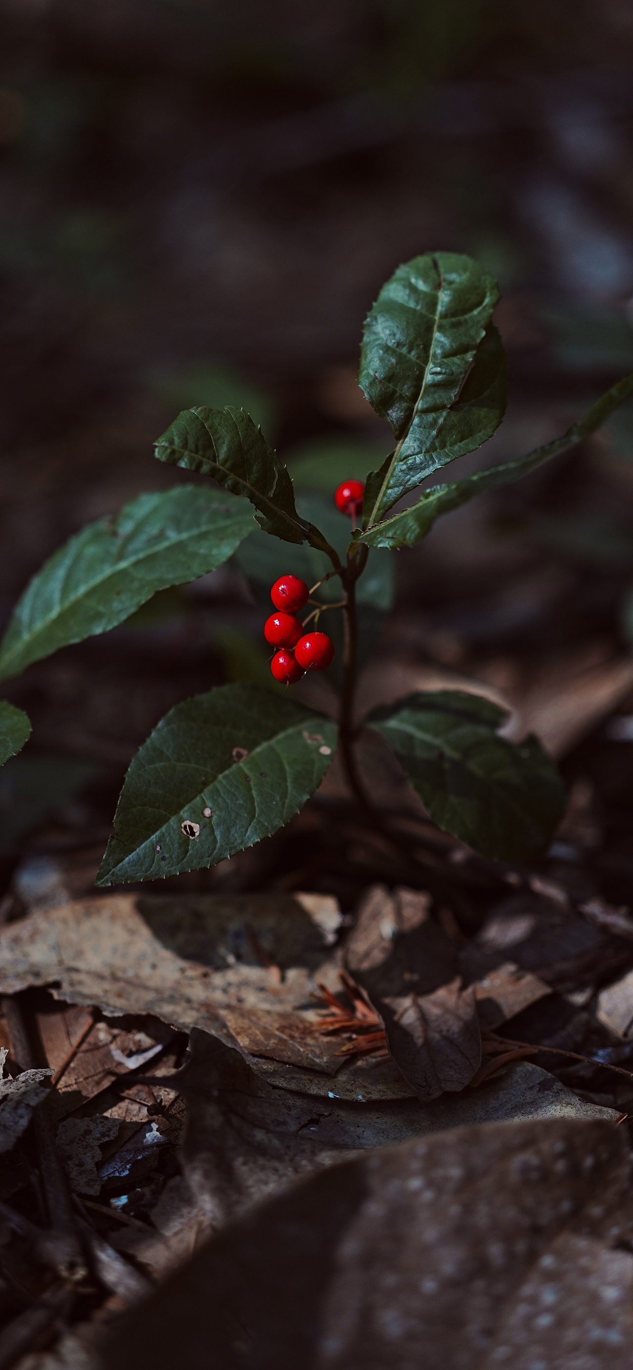 城中有座山（图ZNDAwODk2Mzcy） - 环境/建筑摄影 - 站酷设计师活着就是意义原创素材 - 站酷ZCOOL