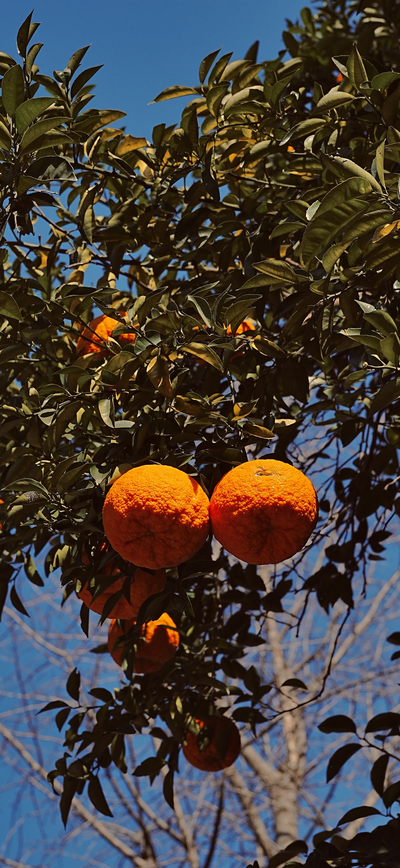 城中有座山（图ZNDAwODk2Mzc2） - 环境/建筑摄影 - 站酷设计师活着就是意义原创素材 - 站酷ZCOOL