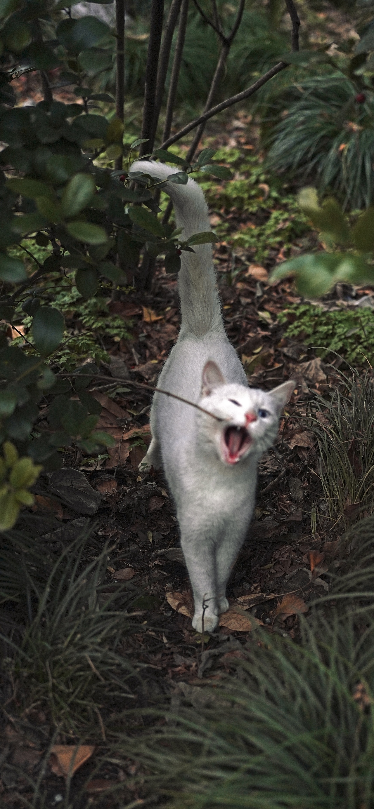 城中有座山（图ZNDAwODk2NDAw） - 环境/建筑摄影 - 站酷设计师活着就是意义原创素材 - 站酷ZCOOL