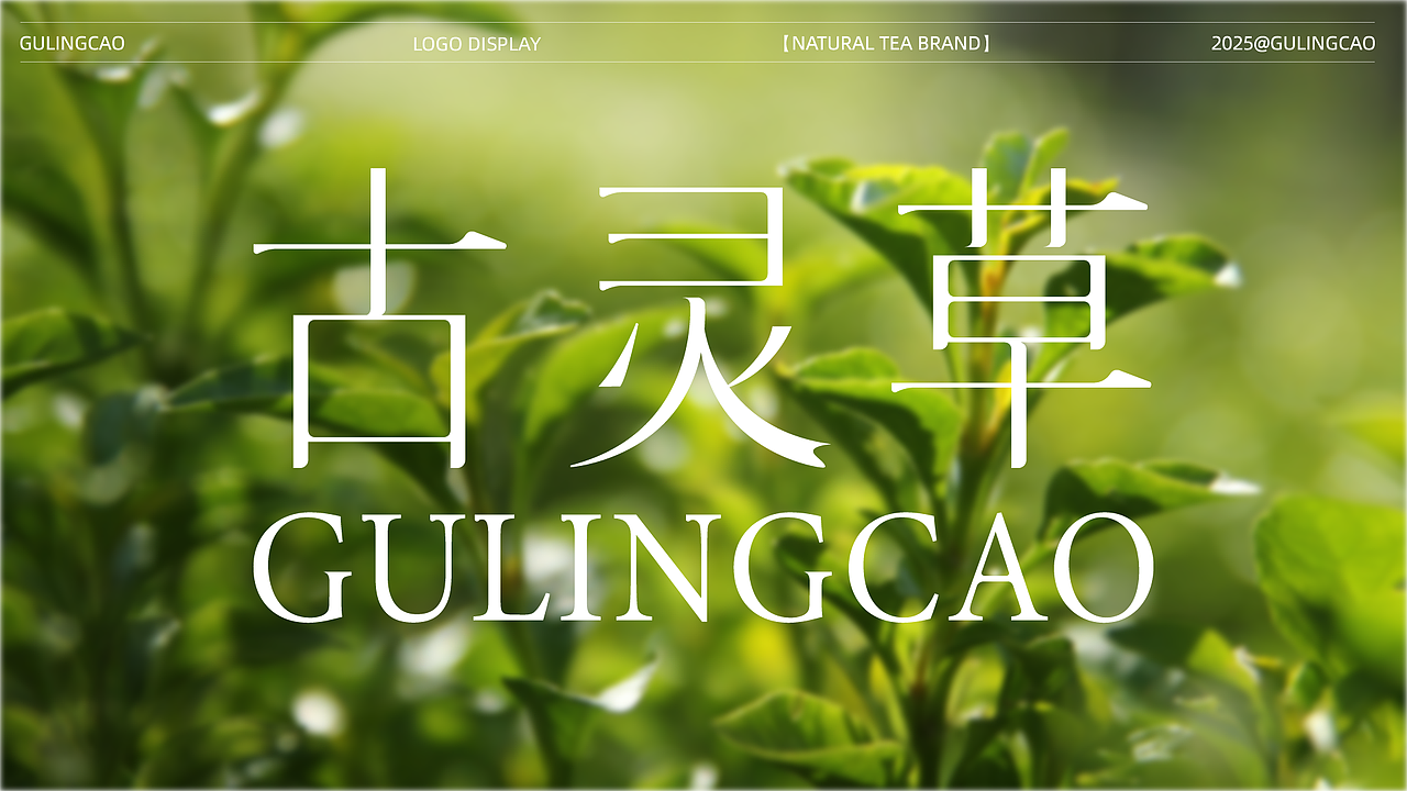 古灵草茶叶包装全案 | 包装/标志/VI（图ZNDAwODk2ODAw） - 包装 - 站酷设计师阡陌恋花原创素材 - 站酷ZCOOL