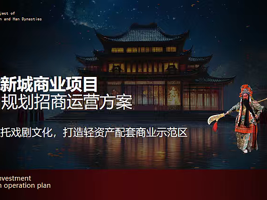 2025秦汉新城商业项目规划招商运营方案-22P