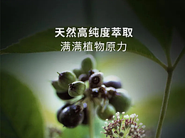 首頁詳情