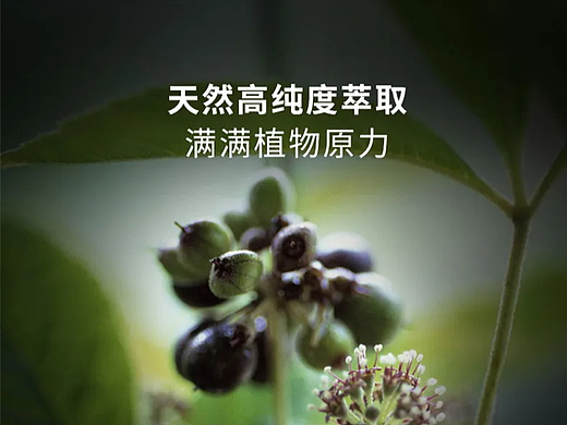 首頁詳情（個(gè)人主頁-ZNzI5ODY4NDg=） - 電商 - 站酷設(shè)計(jì)師周大俠23原創(chuàng)素材 - 站酷ZCOOL
