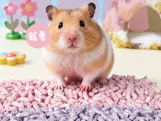 小宠详情页-吸水纸粒-宠物行业