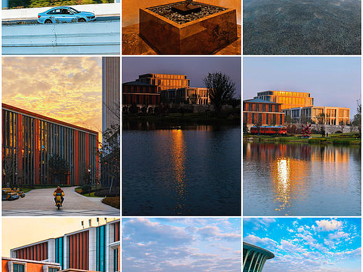 2025华为花粉年会，科技与自然的梦幻联动