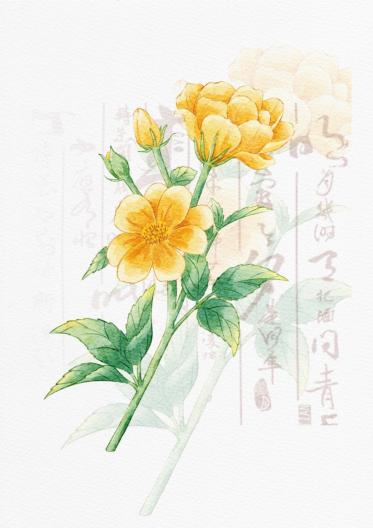 2025总结——今年的一部分（图ZNDAwOTI3OTY4） - 商业插画 - 站酷设计师LULU露吖原创素材 - 站酷ZCOOL