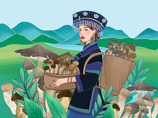 云南味道系列——野生菌